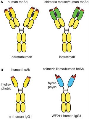 Perspectives for the Development of CD38-Specific Heavy Chain Antibodies as Therapeutics for Multiple Myeloma